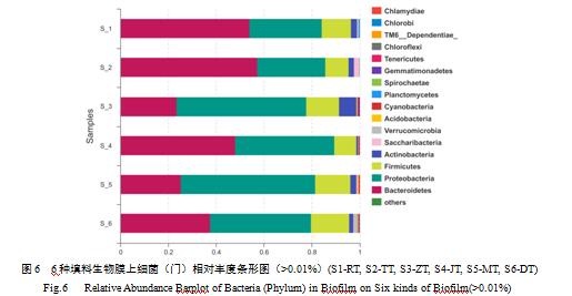 ��������Ĥ�ϼ���